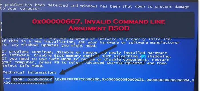 0x00000667, Invalid Command line Argument BSOD 